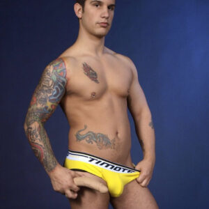 Fallo Anale Fleshjack Pierre Fitch Dildo - immagine 3