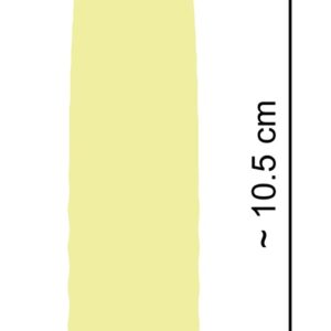 MINI VIBRATORE CUTIES -IL CANARINO - immagine 9