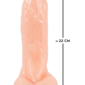 FALLO REALISTICO CON VENTOSA "REALISTIC DONG 8" - immagine 8
