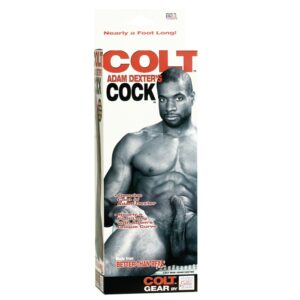 FALLO REALISTICO CON VENTOSA "ADAM DEXTER" - BROWN - 21.5 CM - immagine 3