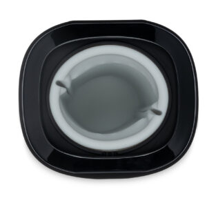 Onyx+ Asa Akira Virtual and Realistic - immagine 7